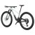Scott Spark RC Team Issue dorado grey/carbon black